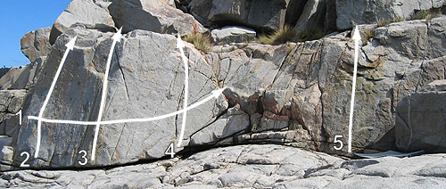Coles Baypharos5.jpg