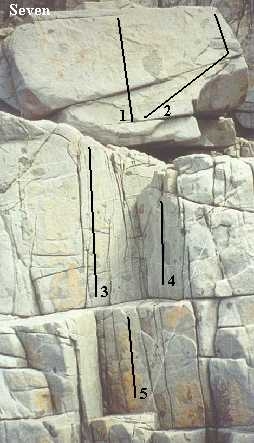 Coles Bayseven.JPG