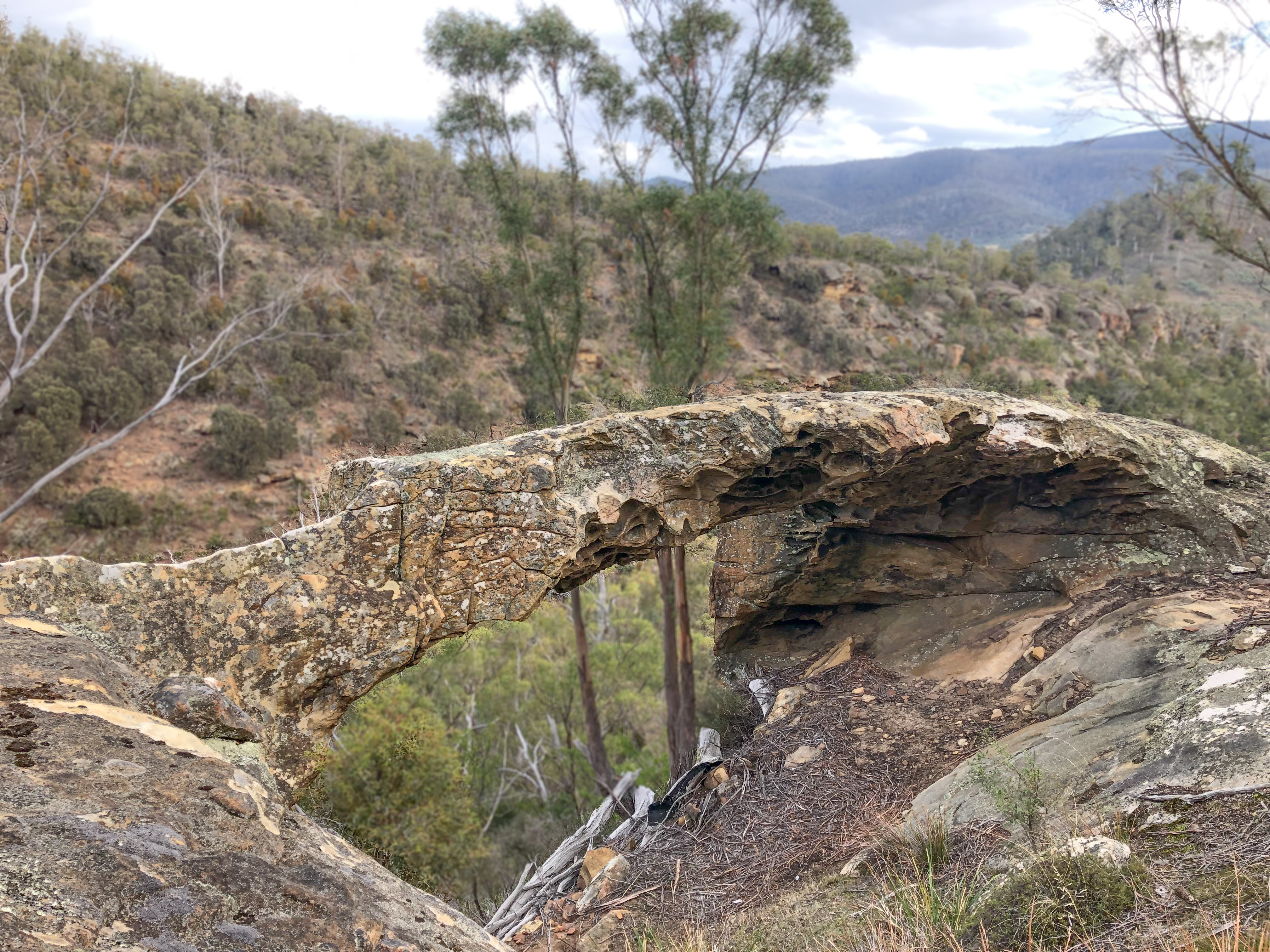 Elderslie Arch