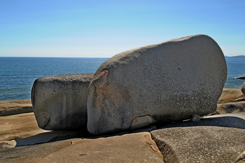 DSC_3241.JPG