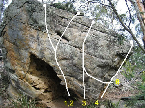Rocky TomMenagerie-Front.jpg
