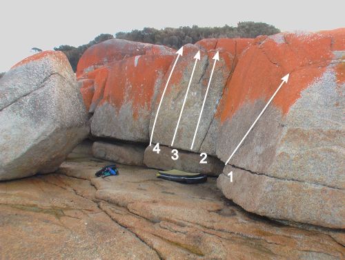 Cosy3Topo.jpg