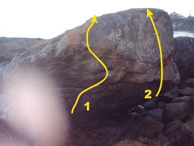 Taroonataroona3.jpg