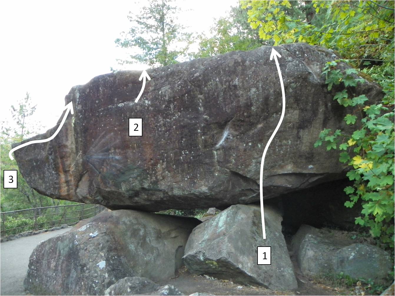 Erratics pic 1.jpg