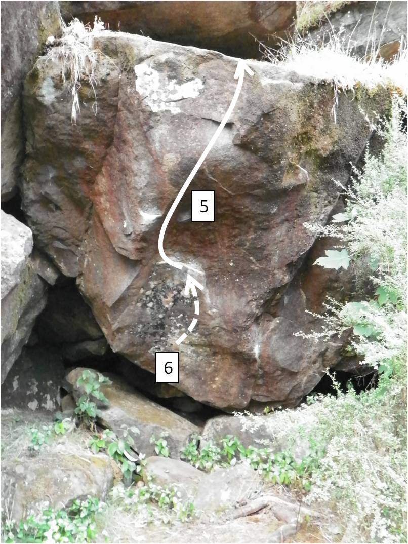 Erratics pic 3.jpg