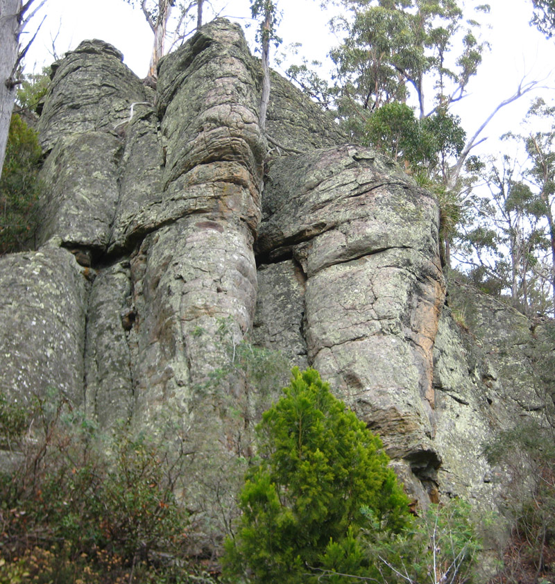 Piss Ant Buttress