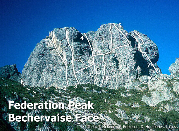 Bechervaise Face
