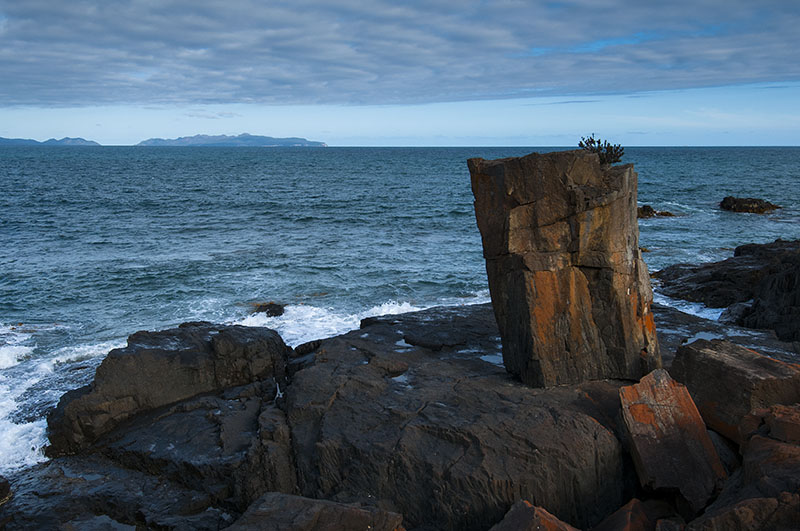 DSC_2240b.jpg