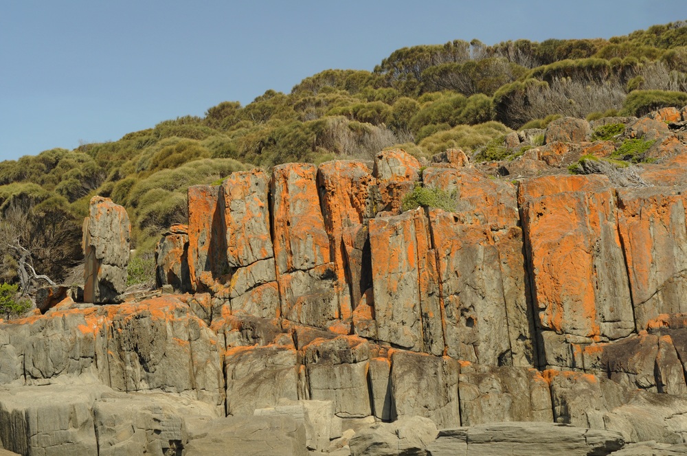 DSC_3006.JPG