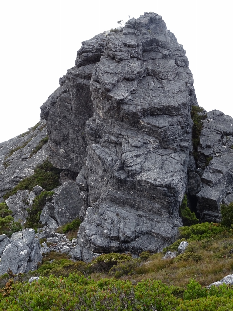 Needle Buttress