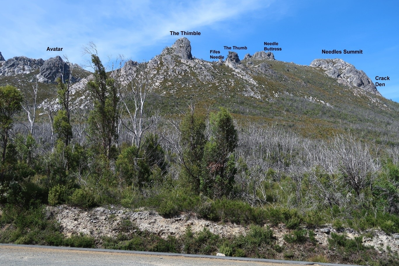 Needles(PR 2024).jpg