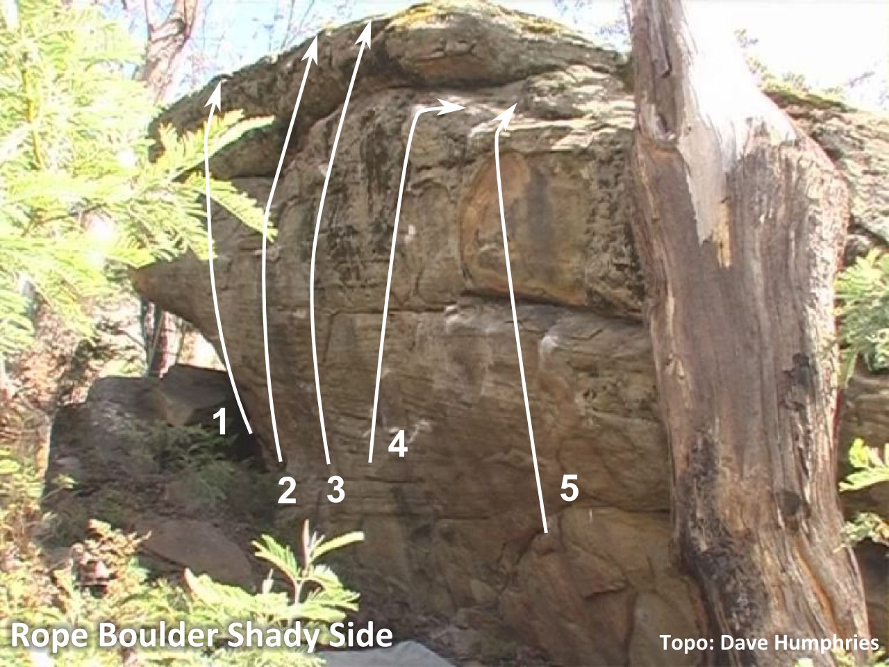 Rope Boulder Shady Side.jpg