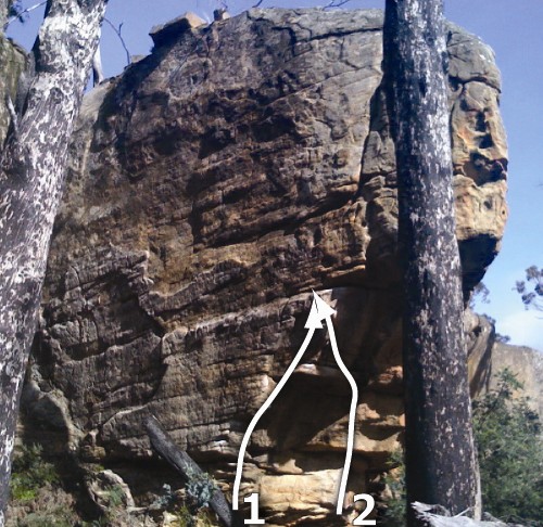 The Prow