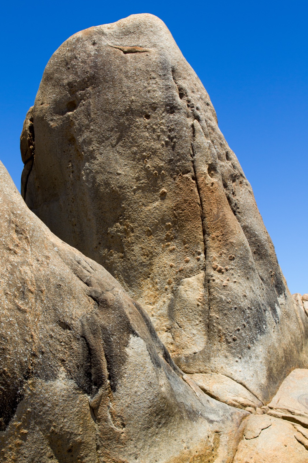 Penguin Rock