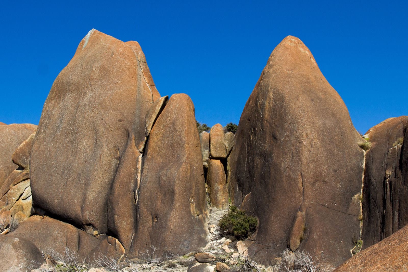 Scoop Rock