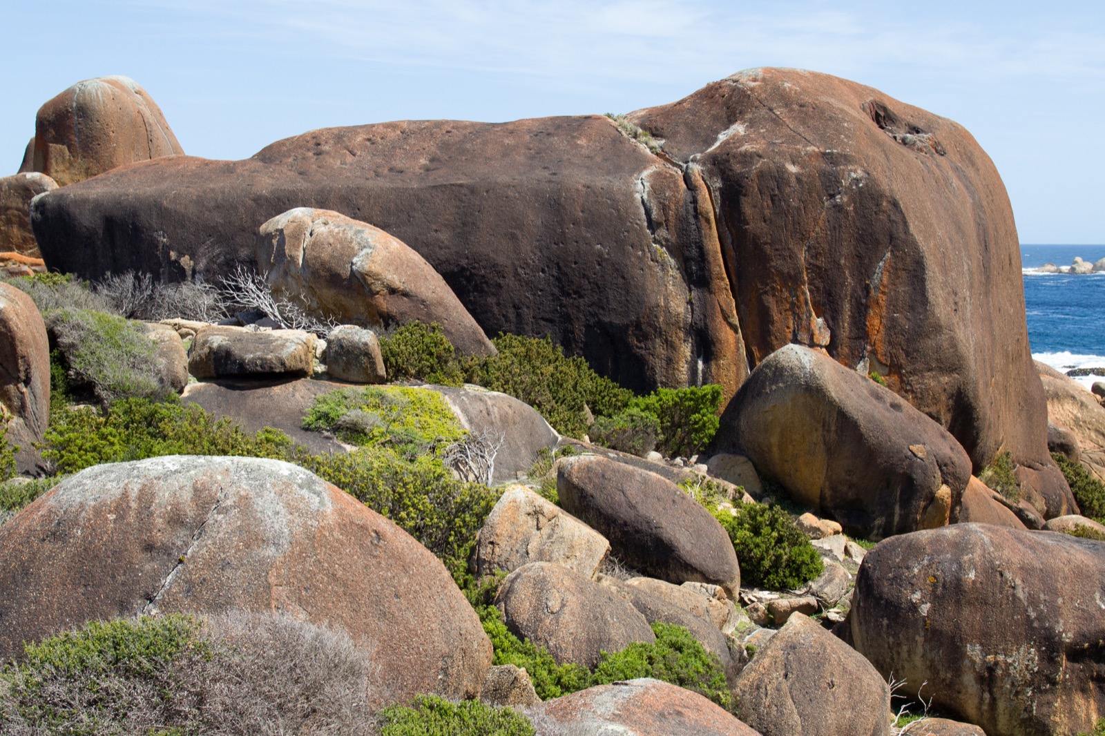 Whale Rock