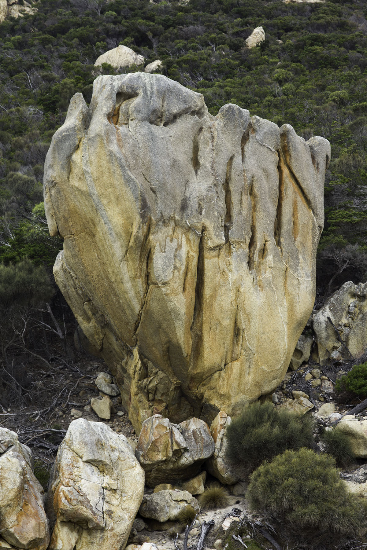 Campsite Boulder 1