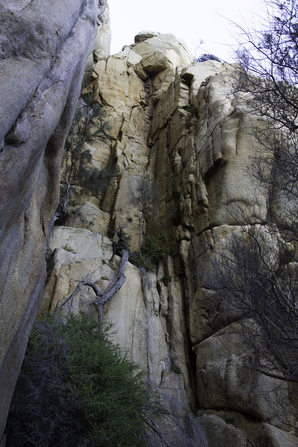 The Pinnacle