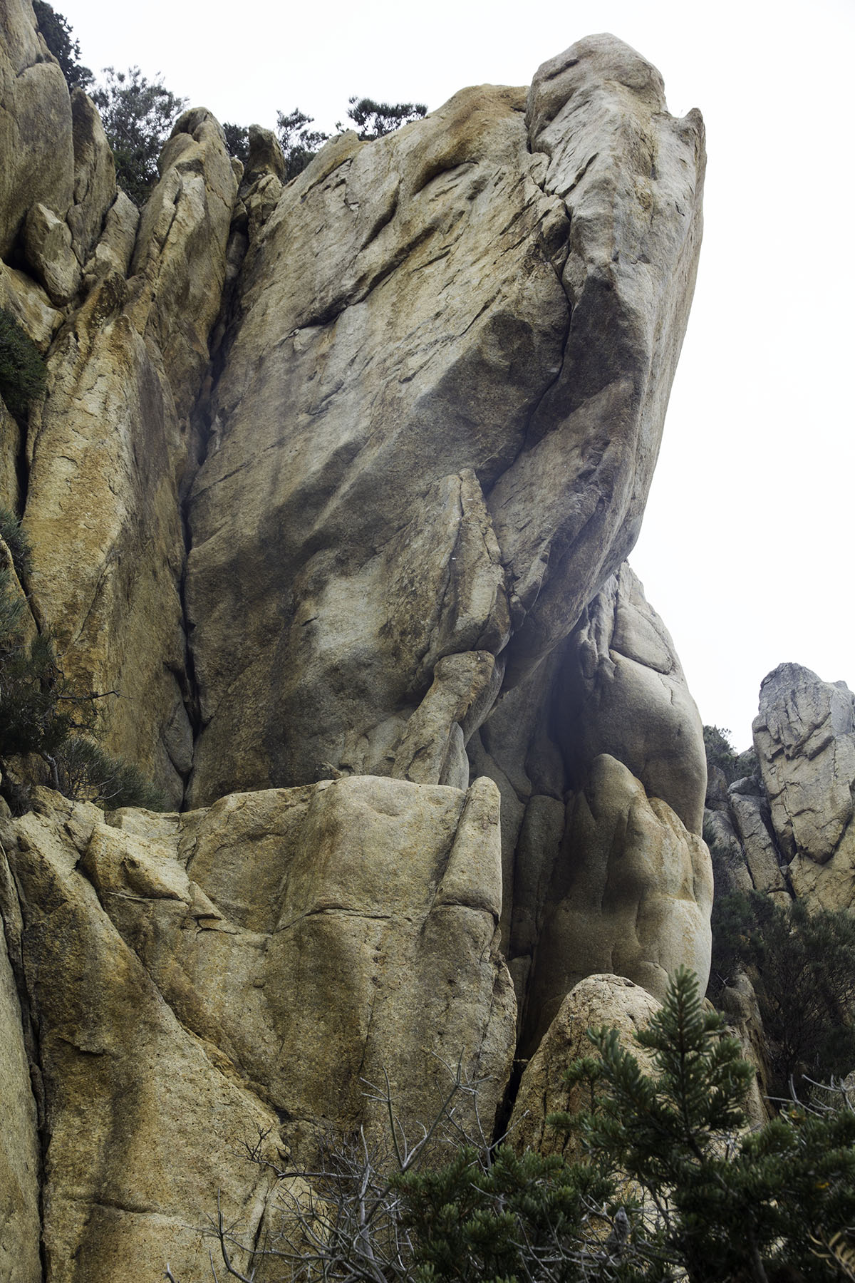 Flinders Island Topos - Siberian Khatru.jpg