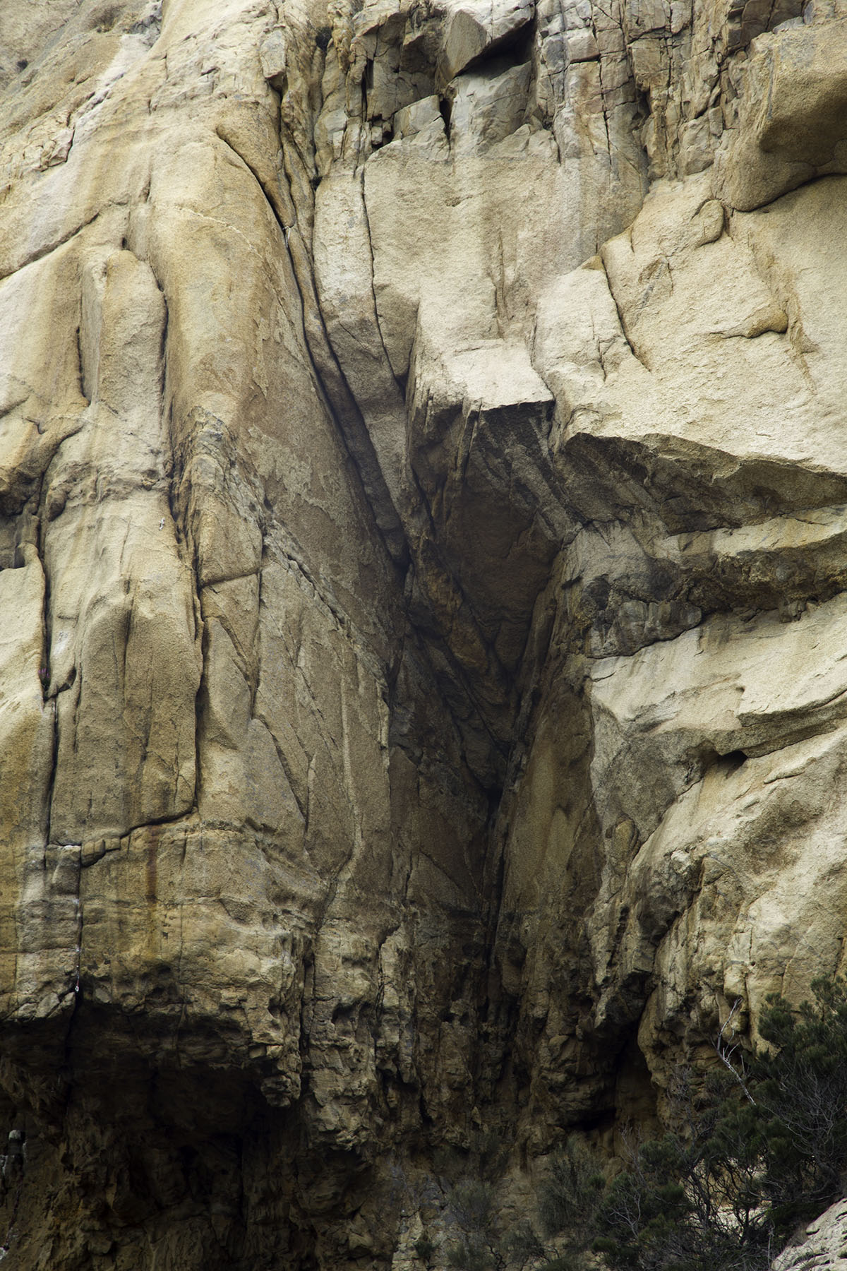 Skull Walls - Right Hand Side