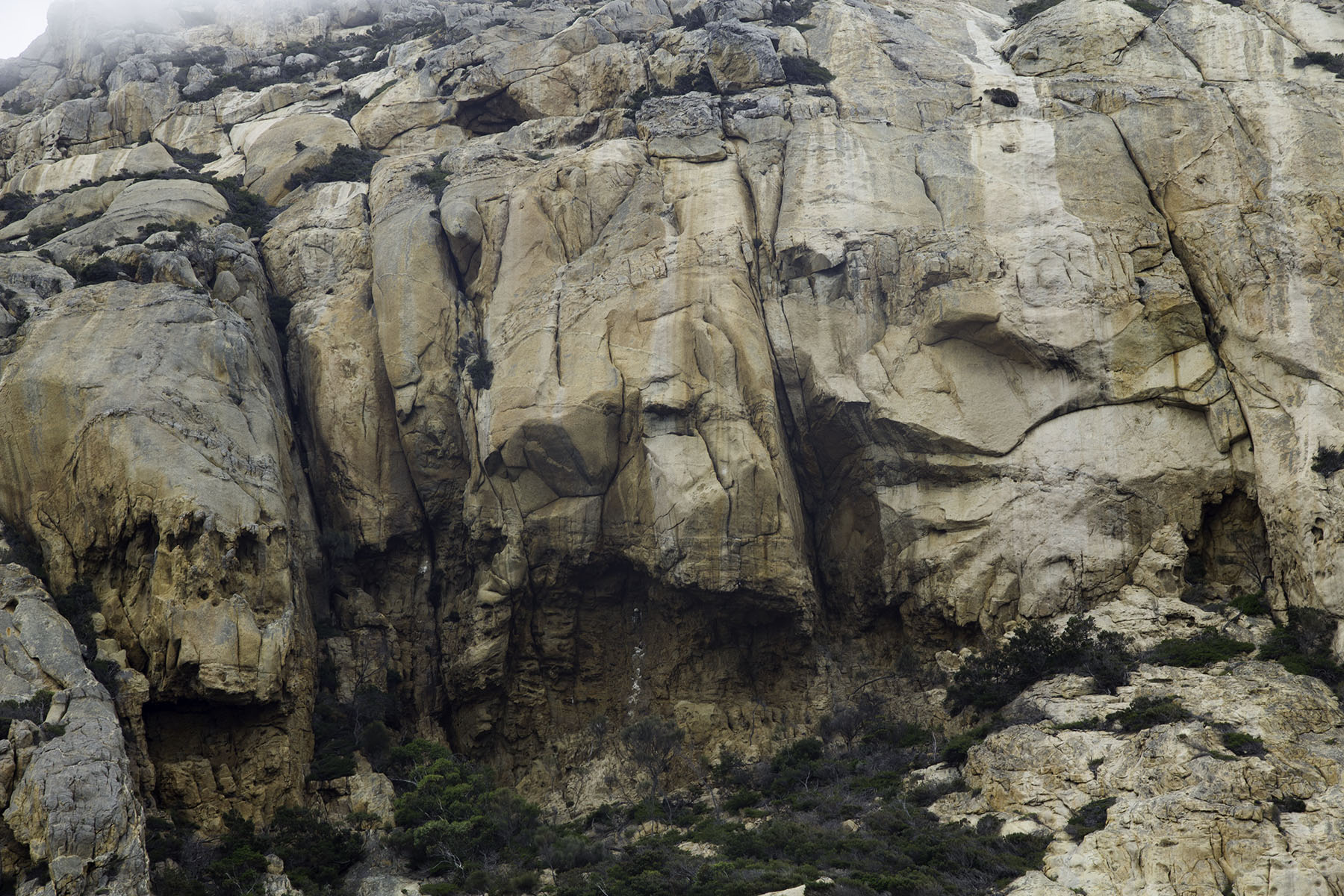 Skull Walls
