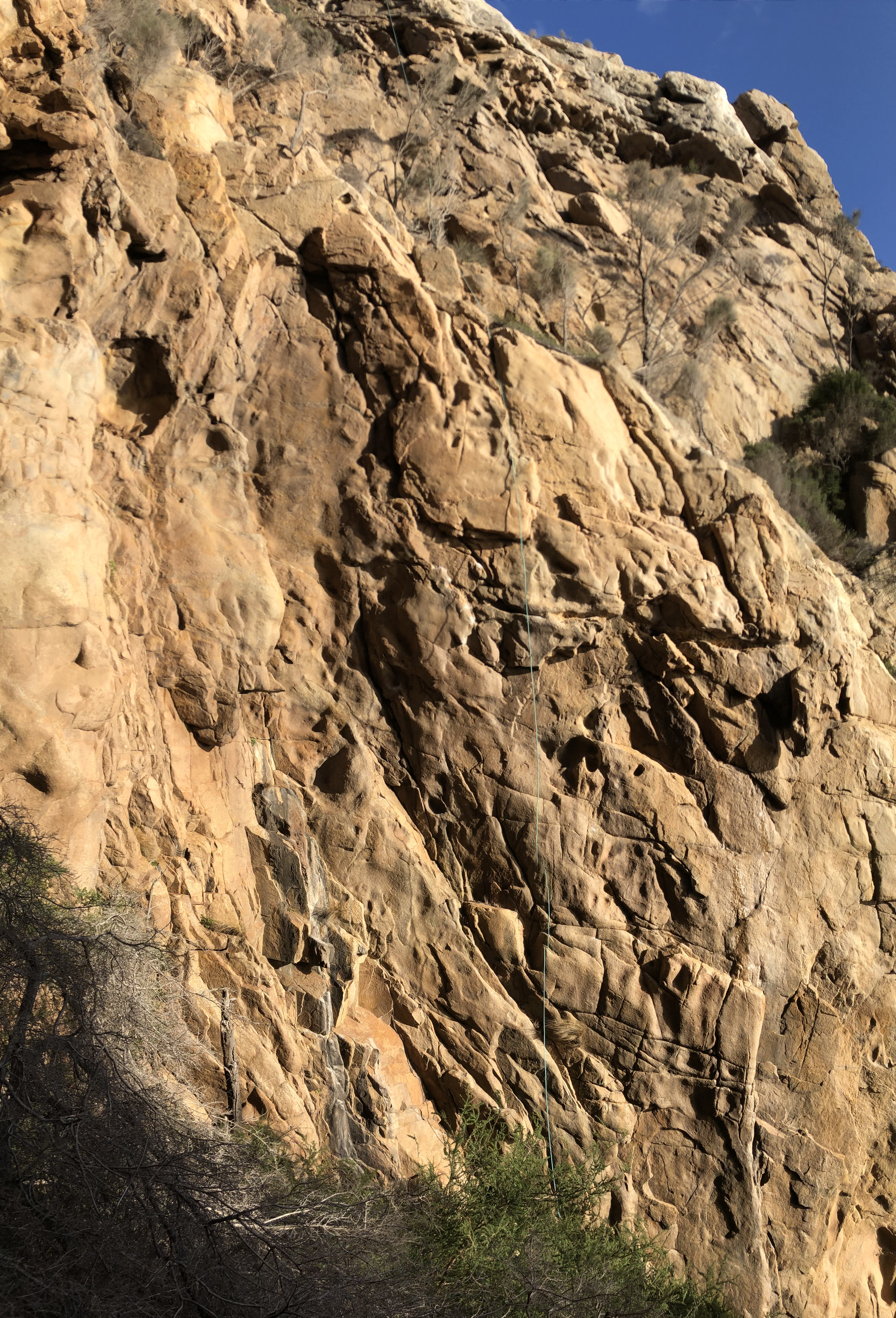 Shanachie Wall
