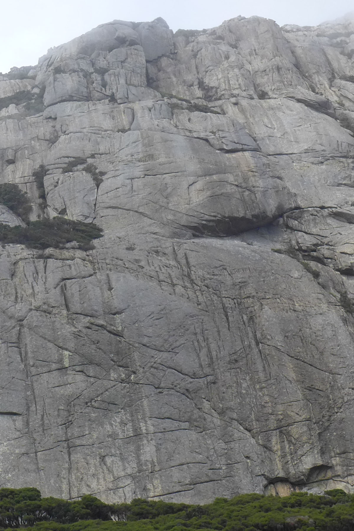 Flinders Island - Into the Labyrinth.jpg