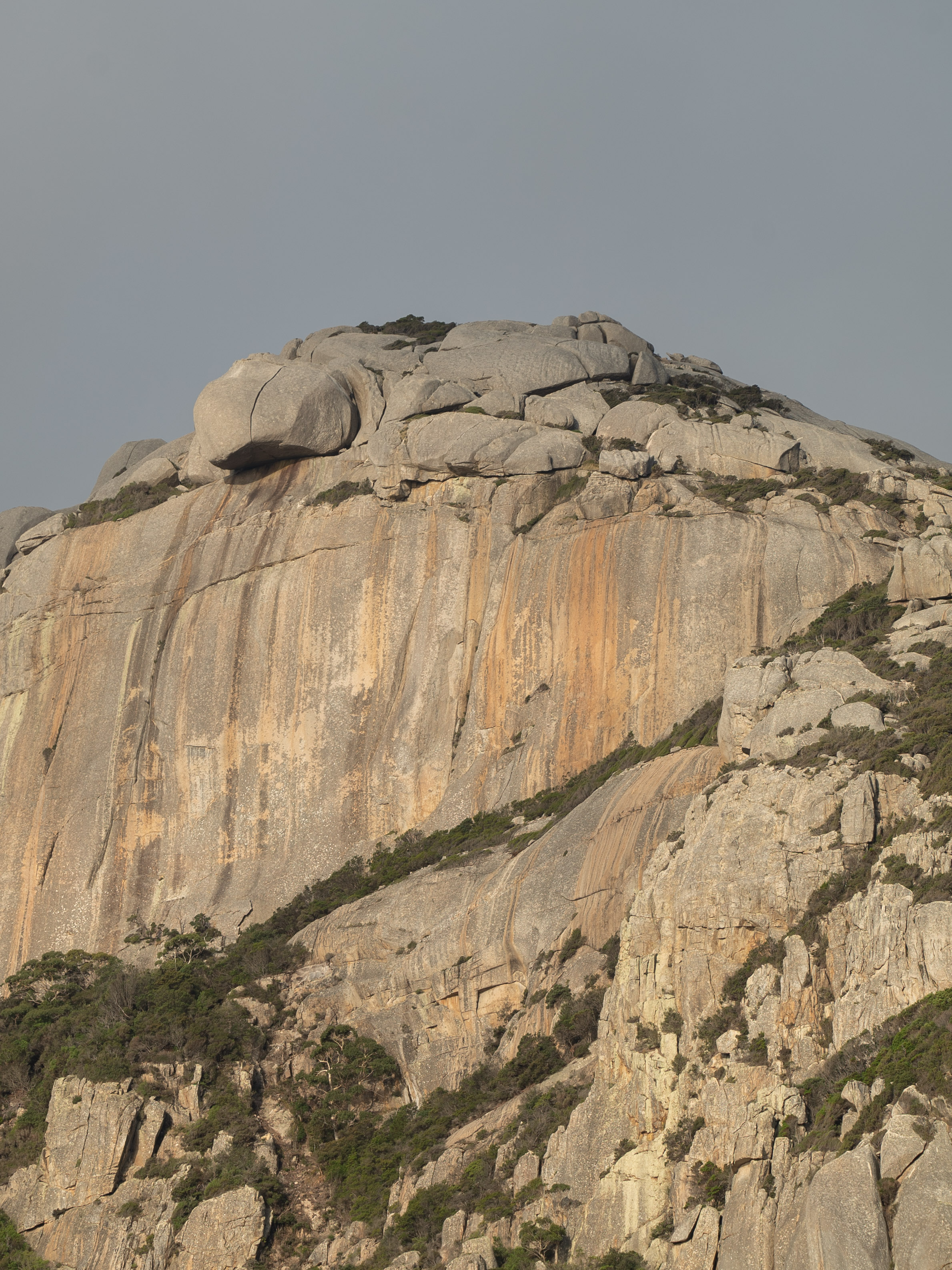beak peak  (1 of 1).jpg