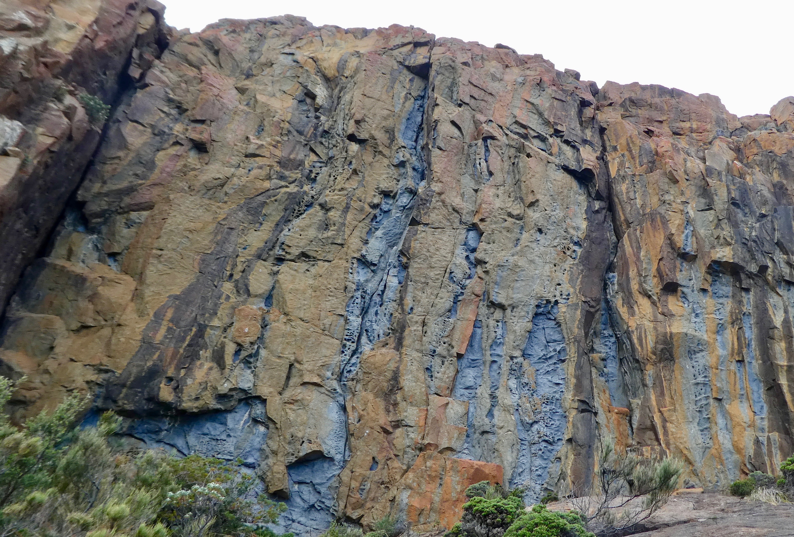 P1000106.jpg