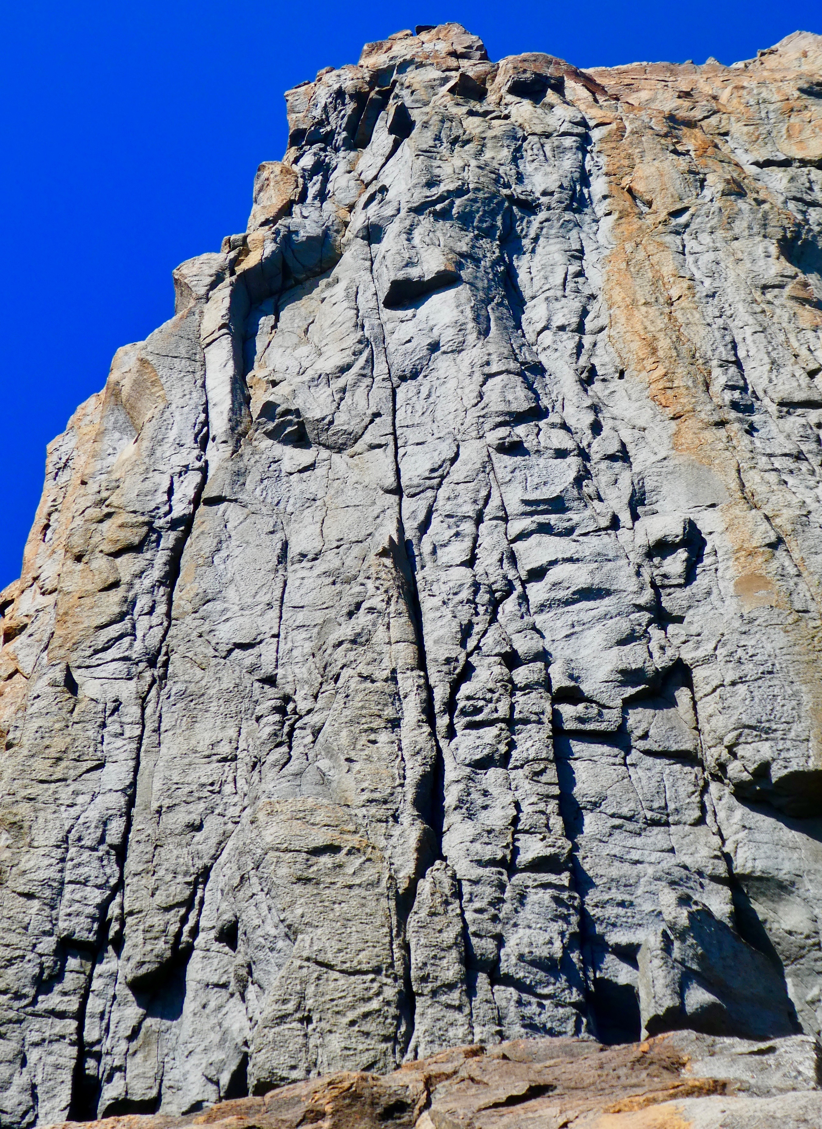 P1000849.jpg