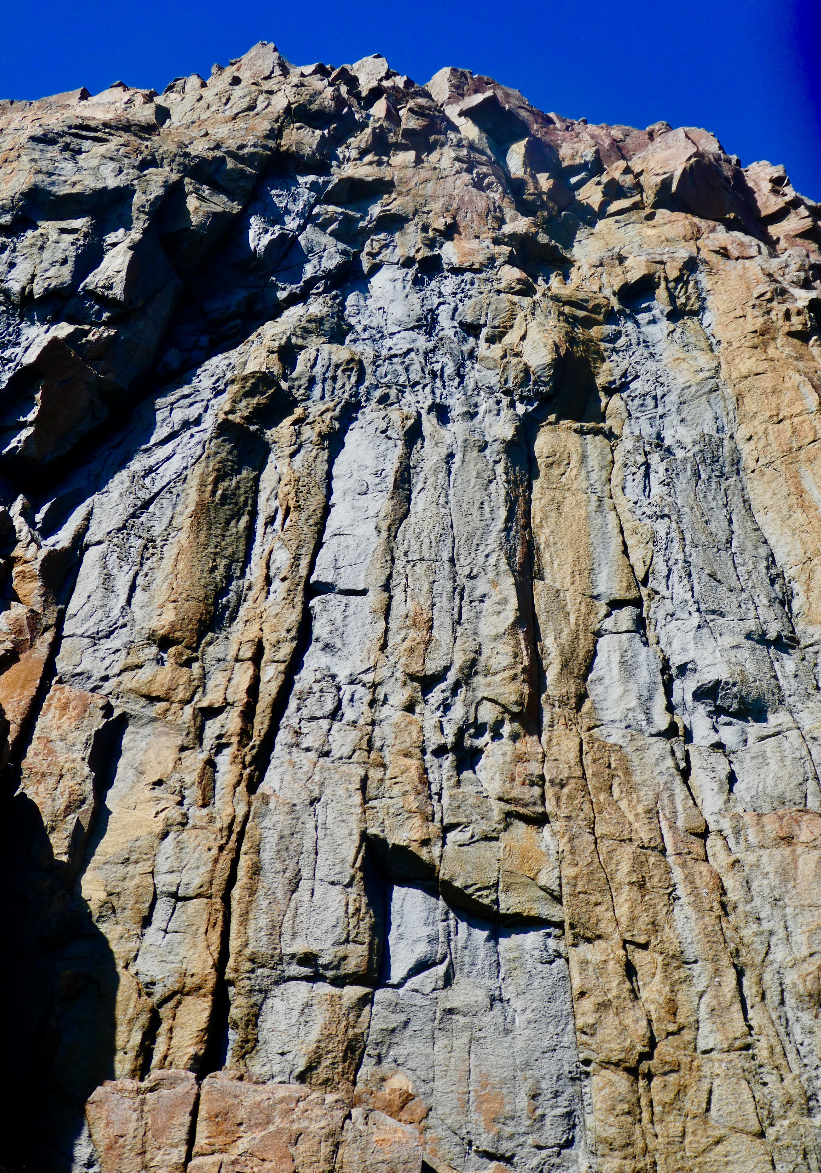 P1000850.jpg