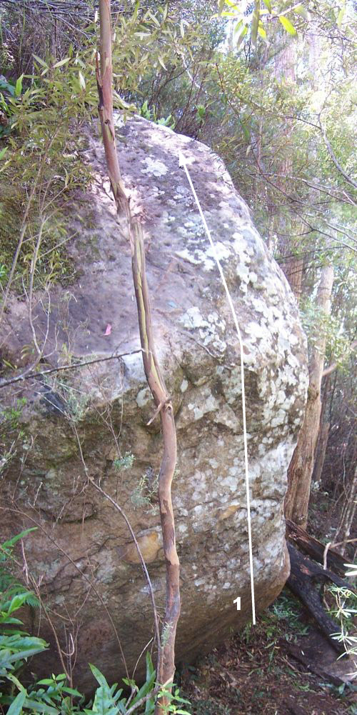 BottomBoulderTopo.jpg