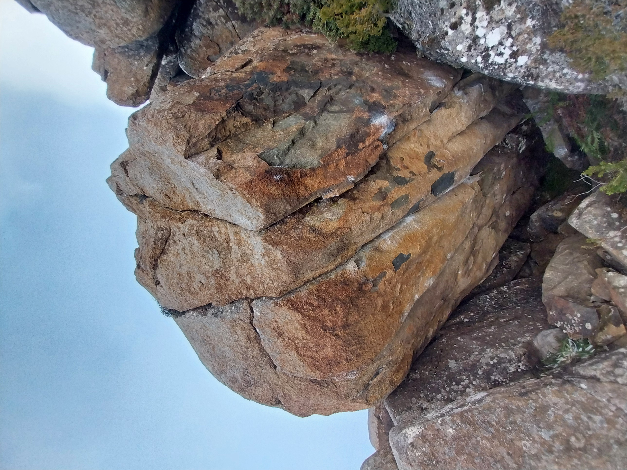 Mantra topo.jpg