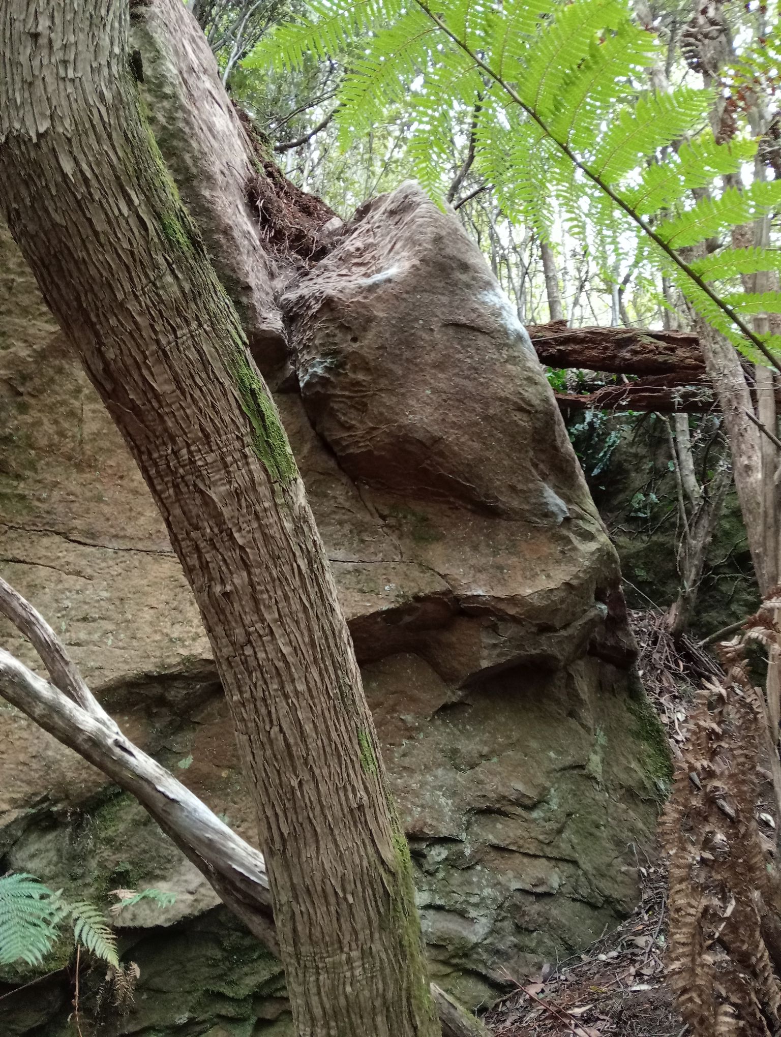 Double arete.jpg