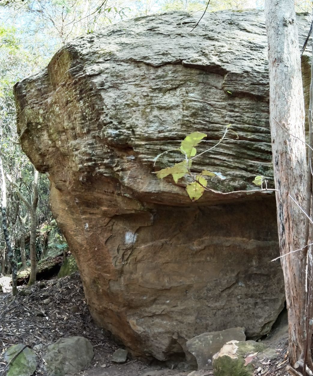 Flight risk boulder.jpg