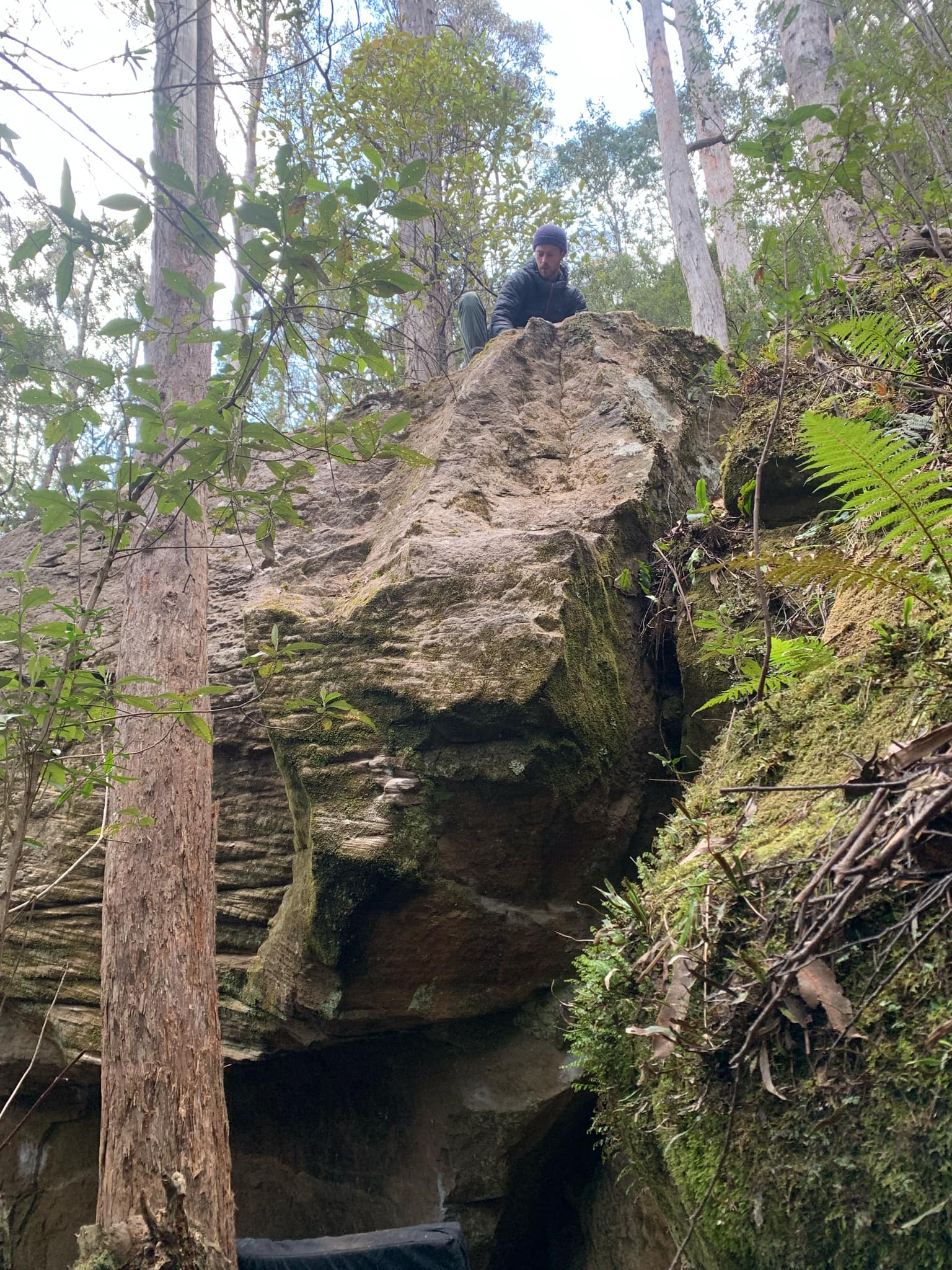 Mimic Topo.jpg