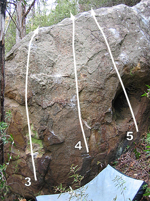Mt Wellingtonbumblebee2.jpg