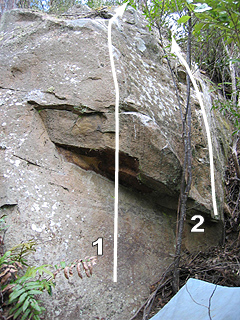 Mt Wellingtonlittle.jpg