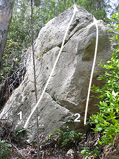 Mt Wellingtonlucky.jpg