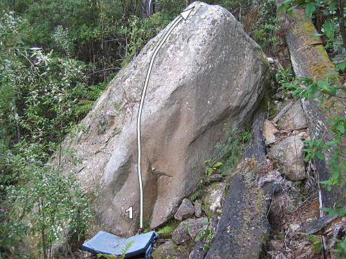 Mt Wellingtonwedge.jpg