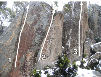 Mt Wellingtonmbug.jpg