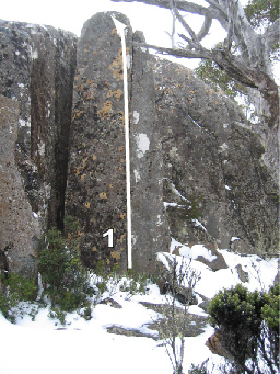 Mt Wellingtonreddot3.jpg