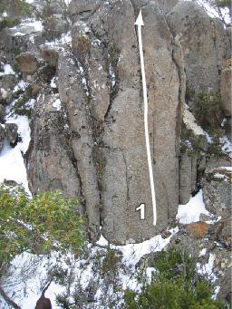 Mt Wellingtonreddot6.jpg