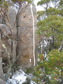 Mt Wellingtonreddot7.jpg