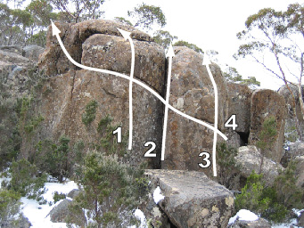 Mt Wellingtonstreamside.jpg