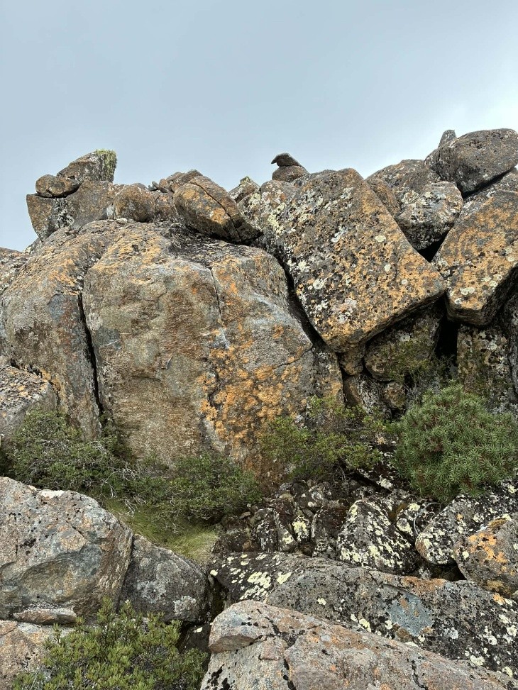 Scree boulder.jpg