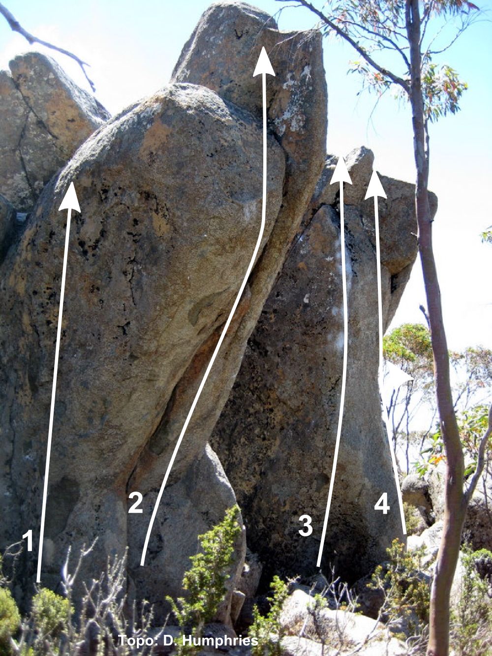 The Horn Topo.jpg