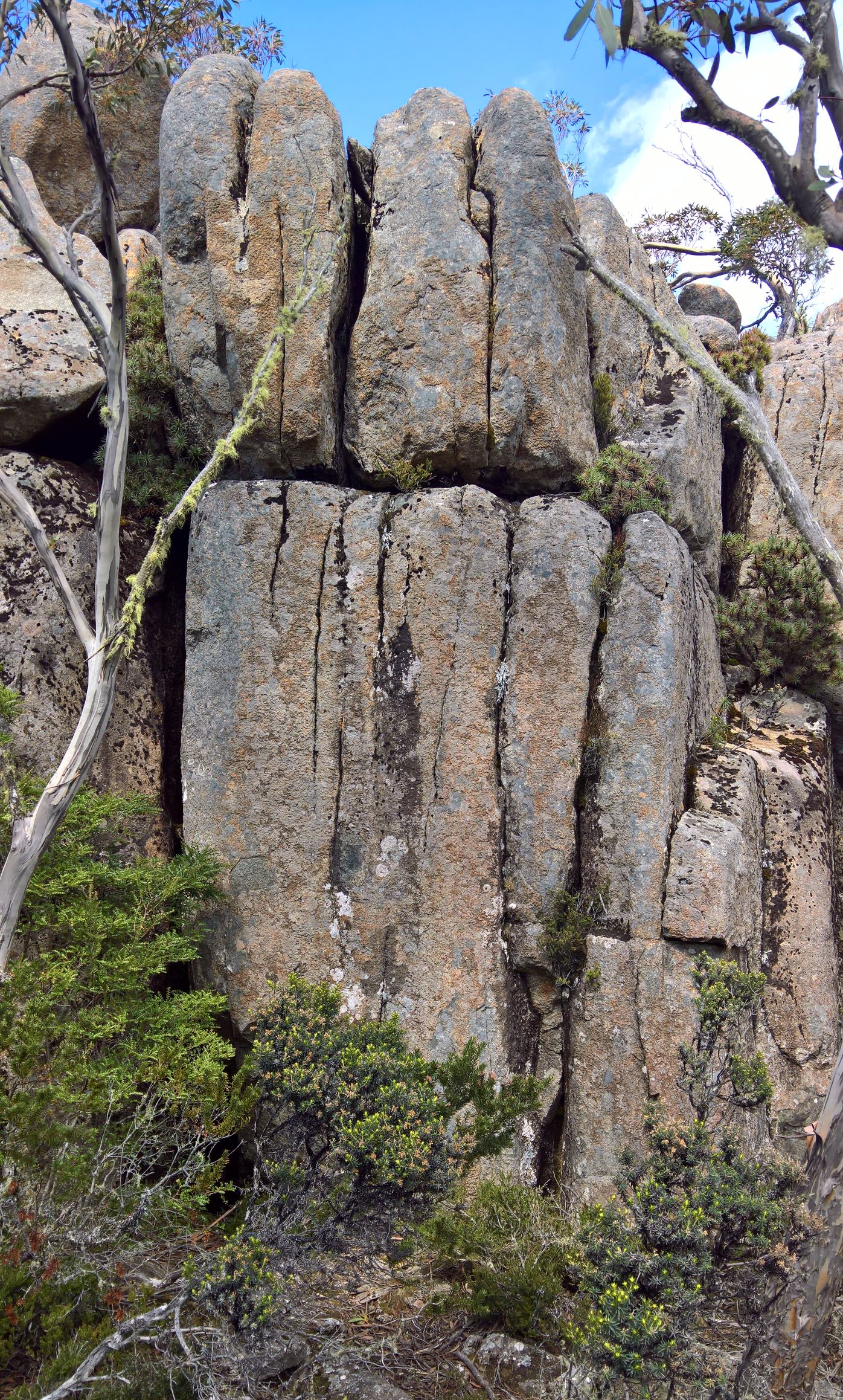 WF Skinless area Wall.jpg