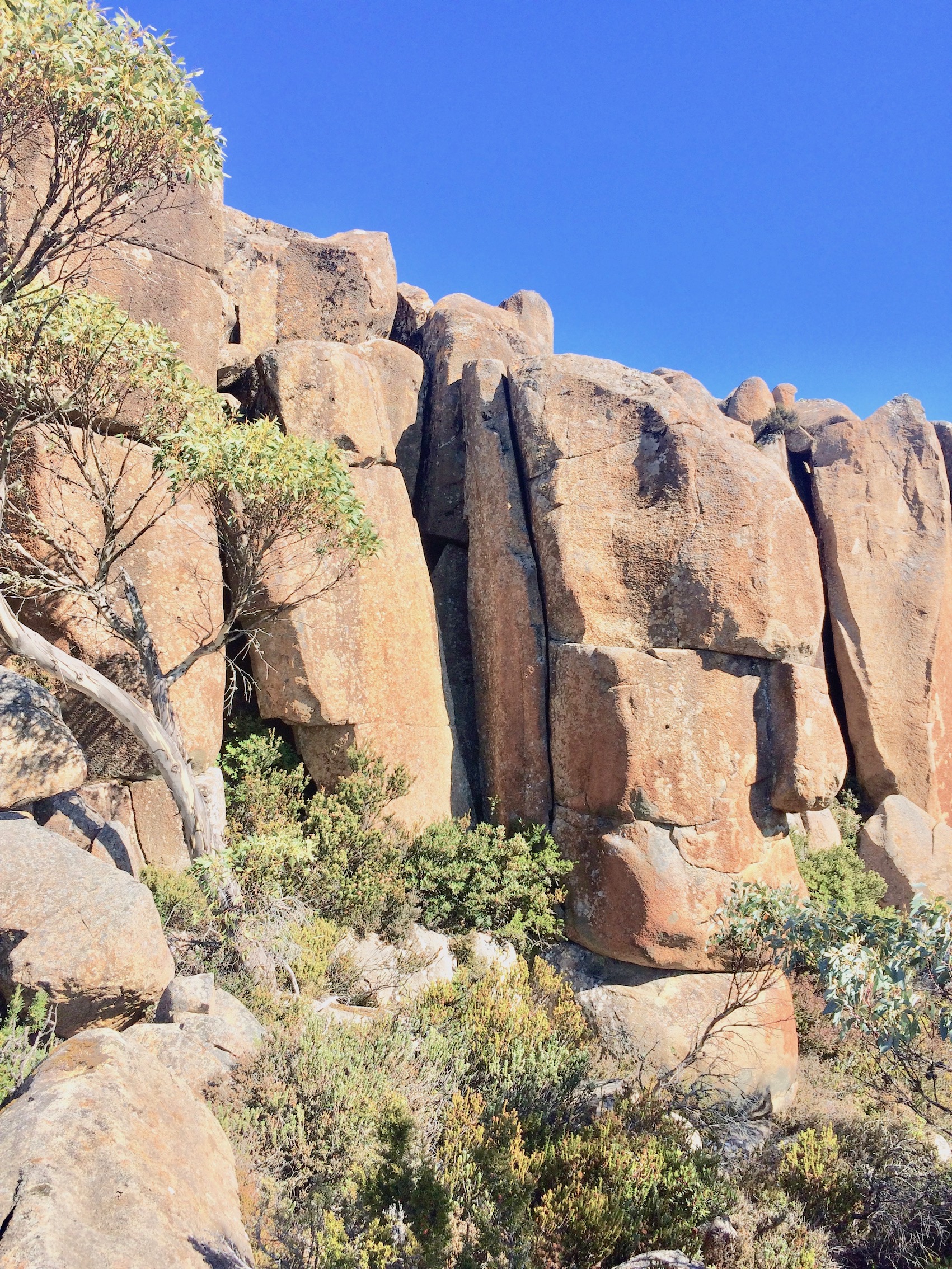 gold coast finger crack 2.jpg