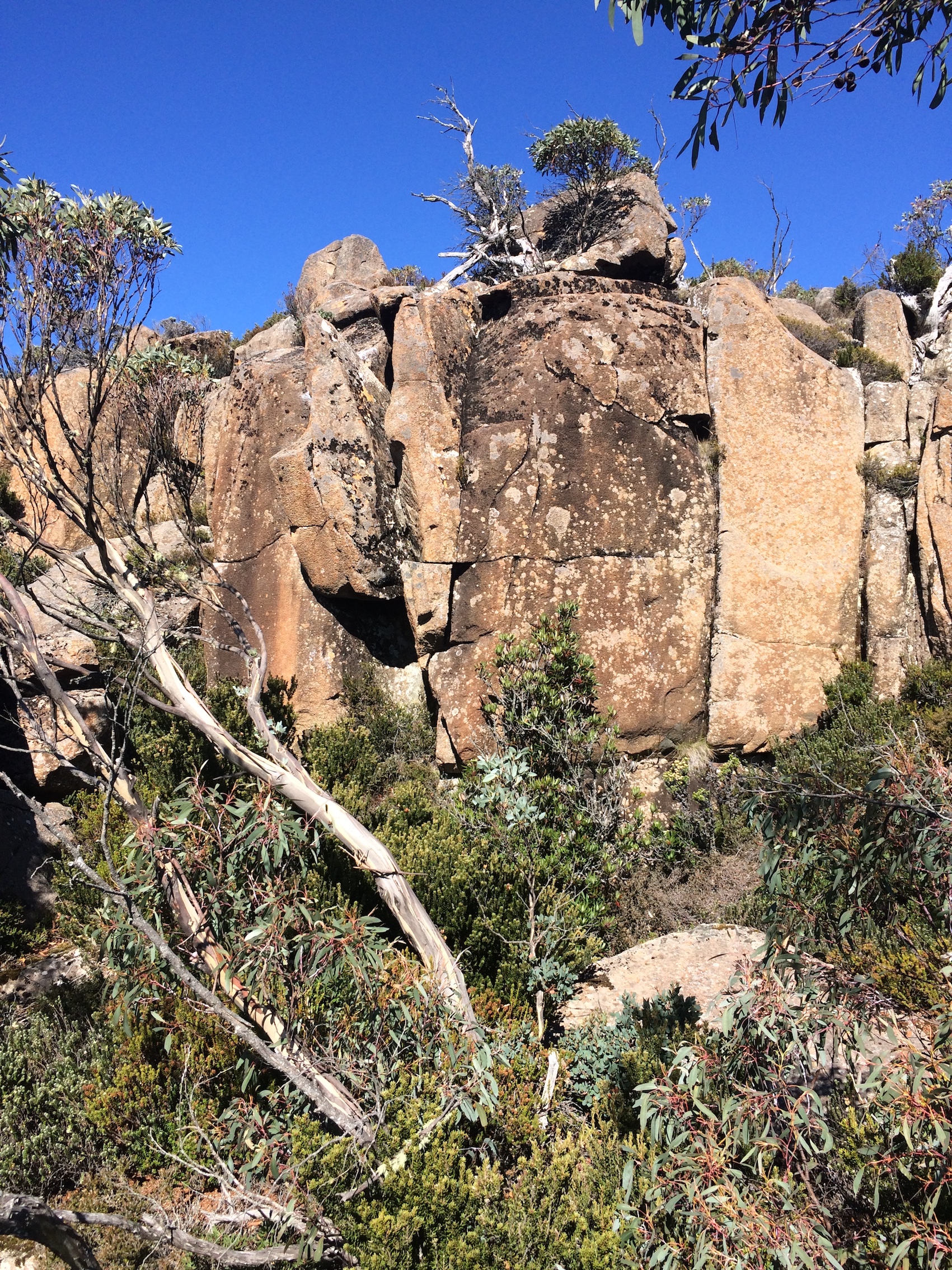 gold coast finger crack.JPG